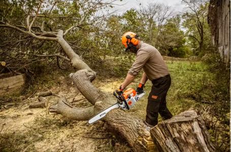 2025 STIHL MS 362 C-M 25" - Photo 2