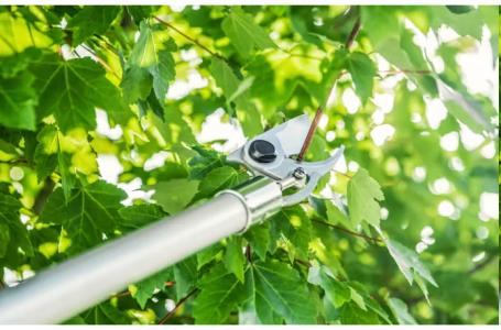 2025 STIHL PP 101 Long Reach Pruner - Photo 3