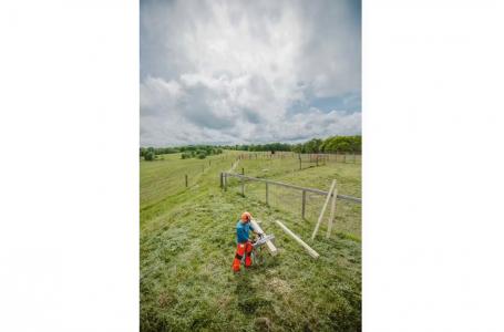 2025 STIHL MS194 CE 14 - Photo 5