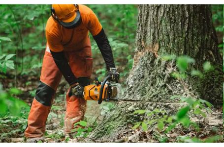 2025 STIHL MS 500 i 25" - Photo 2