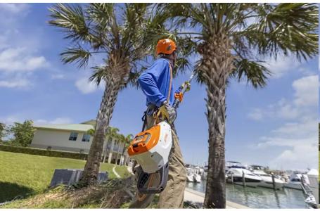 2025 STIHL HTA135 STIHL BATTERY  POLE SAW - Photo 5
