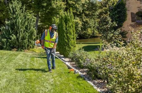 2025 STIHL FS94R TRIMMER - Photo 2