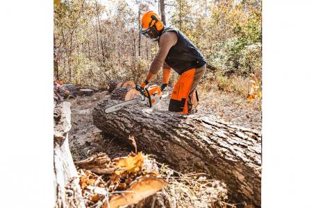 2025 STIHL MS 391 - Photo 3