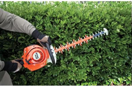 2025 STIHL HS 56 24" - Photo 2