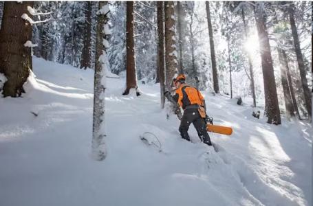 2025 STIHL MS 462 C-M 25" - Photo 3