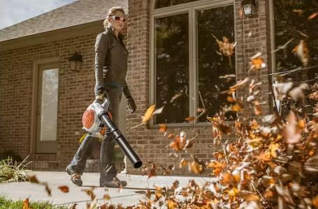 2025 STIHL BG 56 C-E - Photo 5