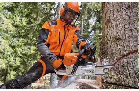 2025 STIHL MS 462 C-M 25" - Photo 2