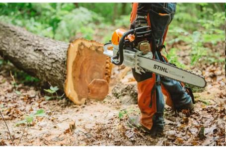 2025 STIHL MS 462 C-M 25" - Photo 6