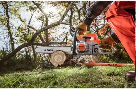 2025 STIHL MS 251 C-BE - Photo 3