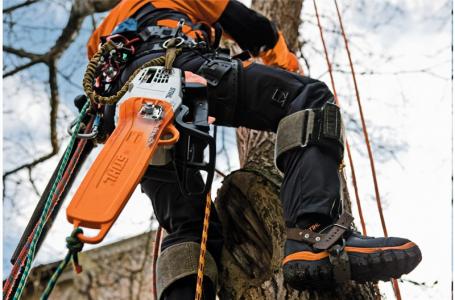 2025 STIHL MS 201 TC-M - Photo 2