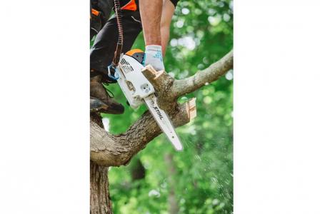 2025 STIHL MS 151 T C-E 12 - Photo 4