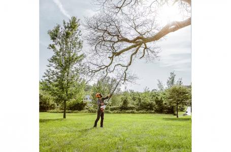 2025 STIHL HT56C-E POLE PRUNER - Photo 4
