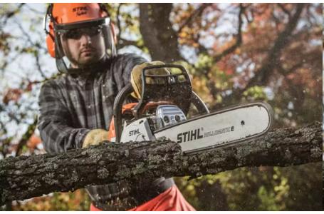 2025 STIHL MS 251 C-BE - Photo 2