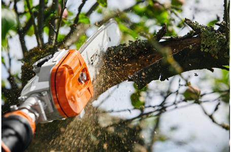 2025 STIHL HTA 135 - AP System - Photo 8