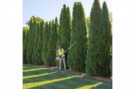 2025 STIHL HLA135/0 DEGREE HEDGE TRIMMER - Photo 3