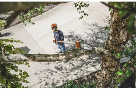 2025 STIHL HT 135 - Photo 2