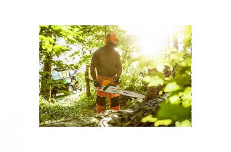 2025 STIHL MS 291 20" - Photo 4