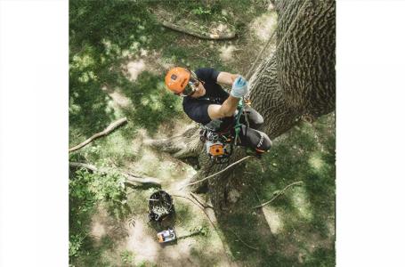 2025 STIHL MS 194 T - Photo 3
