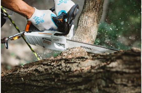 2025 STIHL MS 194 T - Photo 3