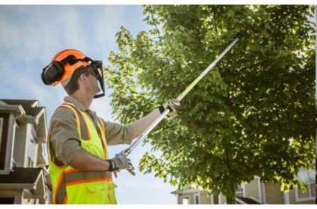 2025 STIHL PP 101 Long Reach Pruner - Photo 2