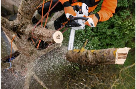 2025 STIHL MS 201 TC-M - Photo 3