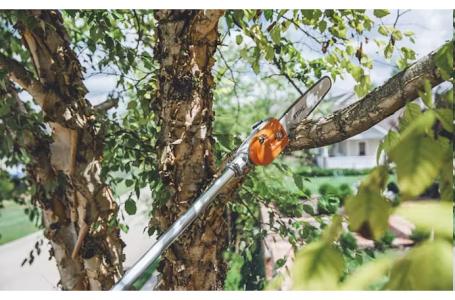 2025 STIHL HT 135 - Photo 4