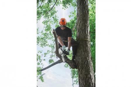 2025 STIHL MS 151 T C-E 12 - Photo 3