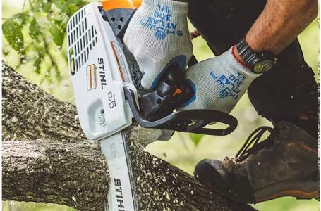 2025 STIHL MS 194 T - Photo 2