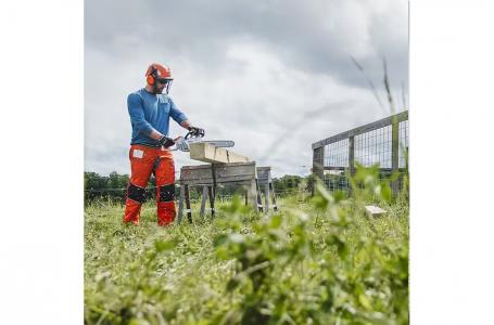 2025 STIHL MS194 CE 14 - Photo 3