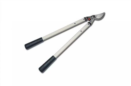 2025 STIHL PL 10