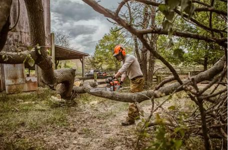 2025 STIHL MS 261 C-M 20" .050 - Photo 2
