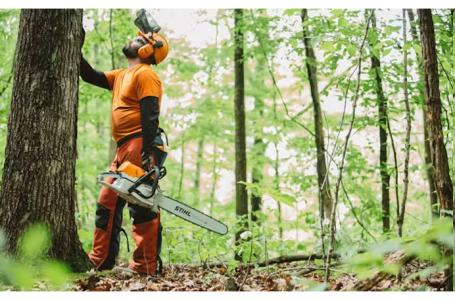 2025 STIHL MS 462 C-M 25" - Photo 7