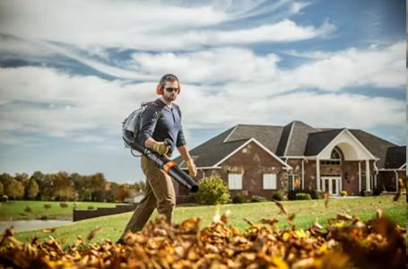2025 STIHL BR 450 - Photo 2