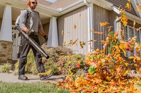 2025 STIHL BR 600 - Photo 6