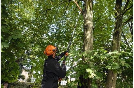 2025 STIHL HTA 135 - AP System - Photo 6