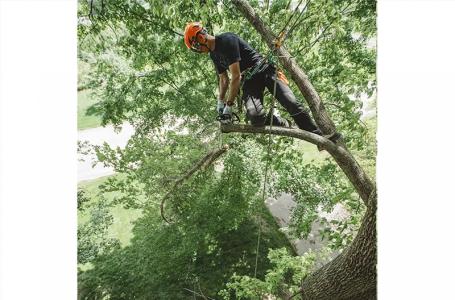 2025 STIHL MS 194 T - Photo 4