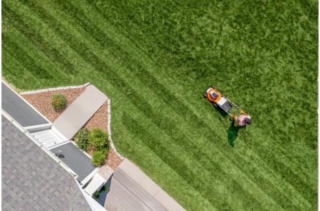 2025 STIHL RMA 460 V Set - Photo 4