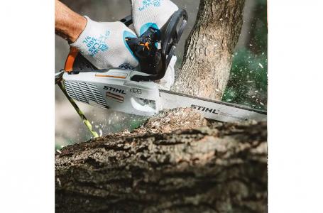 2025 STIHL MS 151 T C-E 12 - Photo 2
