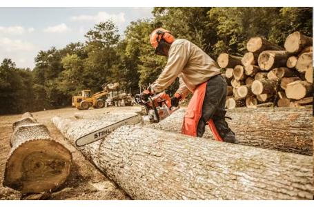 2025 STIHL MS661C CHAINSAW - Photo 4