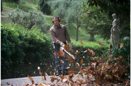 2025 STIHL BG 86 - Photo 3