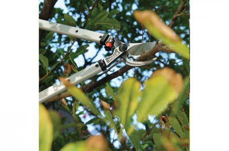 2025 STIHL PL 10 - Photo 2