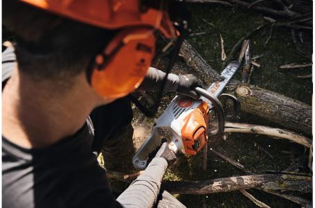 2025 STIHL MSA 220 C-BQ 16" - Photo 5