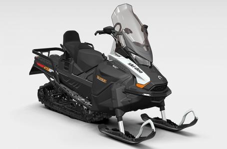 2026 Ski-Doo SKANDIC LE 600 EFI 20"