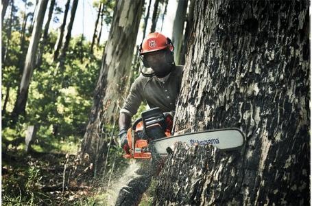 2025 Husqvarna 390 XP® 28" - Photo 4