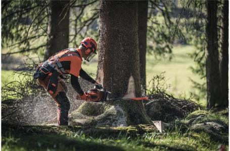 2025 Husqvarna 572 XP® 28" - Photo 2