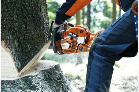 2025 Husqvarna 562 XP® G 24" (Heated handle) - Photo 3