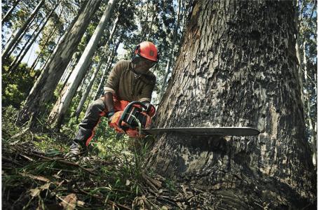 2025 Husqvarna 390 XP® 28" - Photo 2