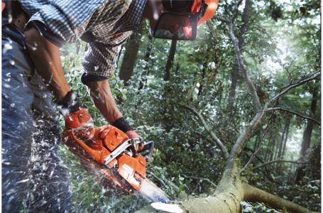 2025 Husqvarna 555 - 970 50 14-04 - Photo 3