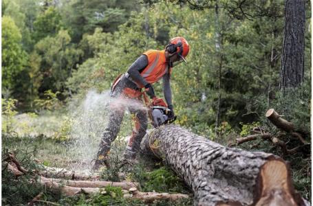 2025 Husqvarna 550 XP® Mark II 20" - Photo 2