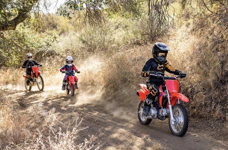 2026 Honda CRF110 - Photo 4